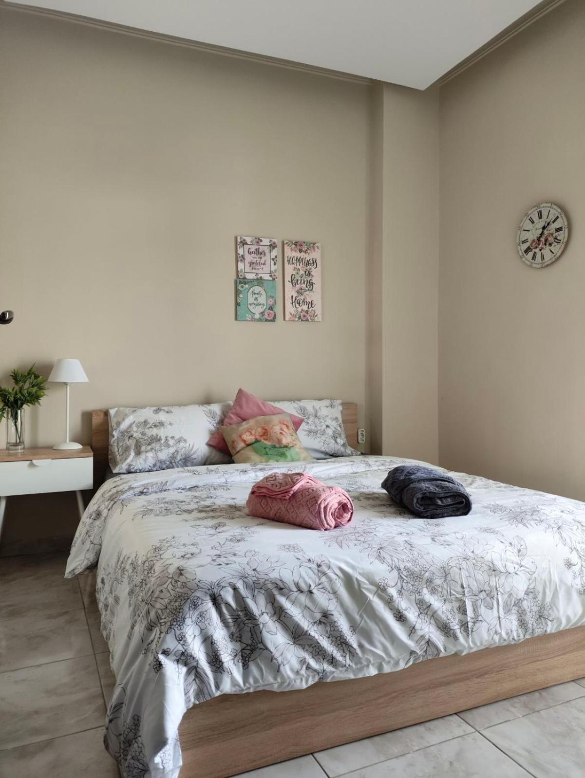 Apartment Downtown Comfy Edessa